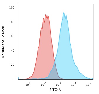 Cytokeratin 19 Recombinant Monoclonal Mouse Antibody (rKRT19/799)