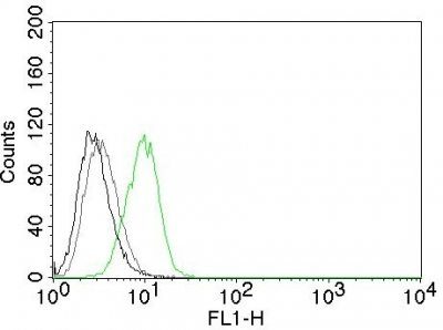p27 / KIP1 Monoclonal Mouse Antibody (DCS-72.F6)