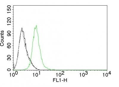 p27 / KIP1 Monoclonal Mouse Antibody (KIP1/769)