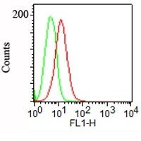 Podocalyxin Monoclonal Mouse Antibody (3D3)