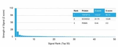 TNFSF15 / VEGI Recombinant Monoclonal Mouse Antibody (rVEGI/1283)
