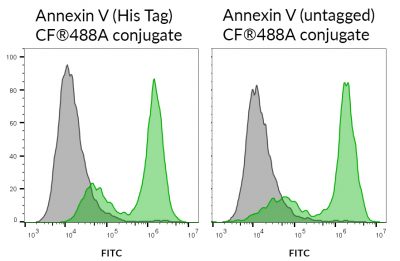 Annexin V (His Tag)