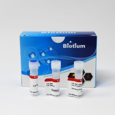 MemBrite® Fix Cell Surface Staining Kits