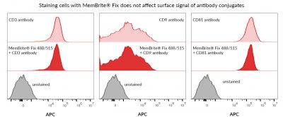 MemBrite® Fix Cell Surface Staining Kits