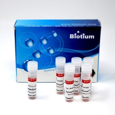 SynaptoGreen™ C18 (Equivalent to FM®3-25)