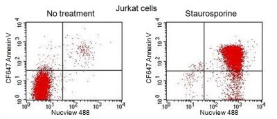 NucView® Caspase-3 Enzyme Substrates