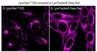 LysoView™ Dyes