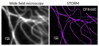 Mix-n-Stain™ STORM CF® Dye Antibody Labeling Kits