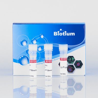 Mix-n-Stain™ Maxi HRP Antibody Labeling Kit, 1 mg Labeling