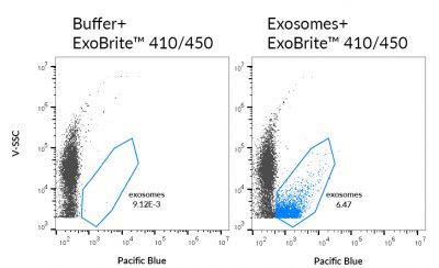 ExoBrite™ EV Membrane Staining Kits
