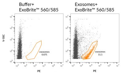 ExoBrite™ EV Membrane Staining Kits