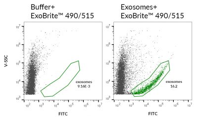 ExoBrite™ EV Membrane Staining Kits