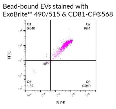 ExoBrite™ EV Membrane Staining Kits