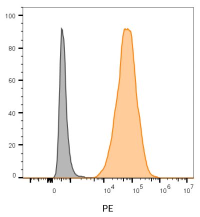 CD63 Monoclonal Mouse Antibody (H5C6)