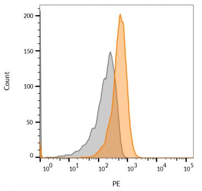 CD63 Monoclonal Mouse Antibody (LAMP3/968)