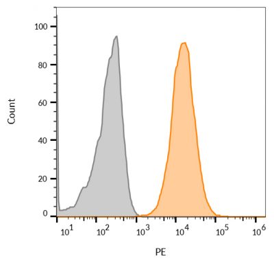 CD63 Monoclonal Mouse Antibody (LAMP3/968)