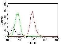 CD63 Monoclonal Mouse Antibody (MX-49.129.5)