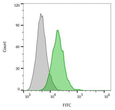 CD63 Monoclonal Mouse Antibody (MX-49.129.5)
