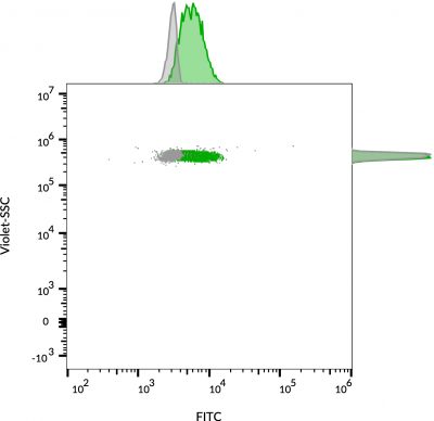 CD63 Monoclonal Mouse Antibody (MX-49.129.5)