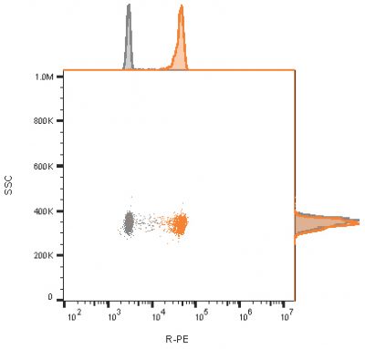 CD81 / TAPA-1 Monoclonal Mouse Antibody (1.3.3.22)