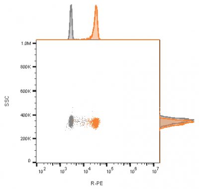CD81 / TAPA-1 Recombinant Monoclonal Mouse Antibody (rC81/3442)