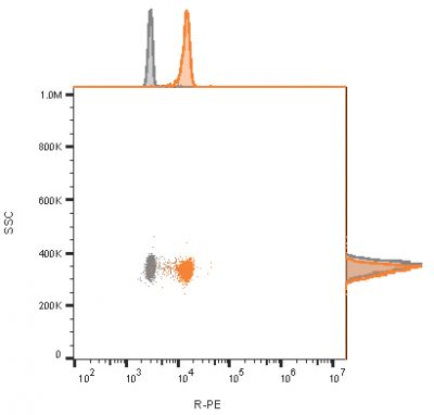 CD81 / TAPA-1 Recombinant Monoclonal Rabbit Antibody (C81/2885R)