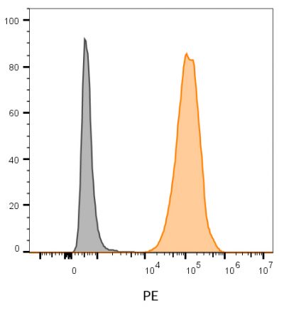 CD81 Monoclonal Mouse Antibody (5A6)