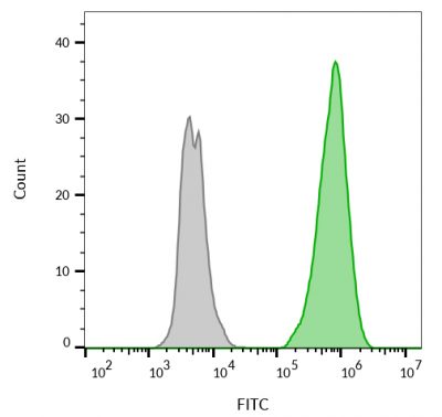 Ep-CAM / CD326 Monoclonal Mouse Antibody (EGP40/826 + EGP40/837 + EGP40/1110 + EGP40/1120)