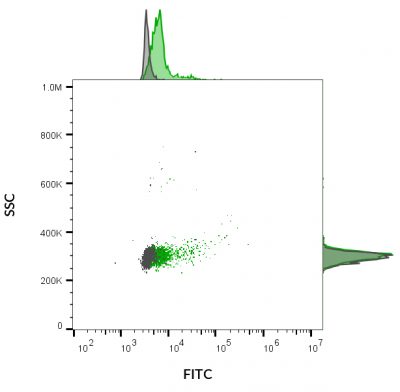 Ep-CAM / CD326 Recombinant Monoclonal Mouse Antibody (rVU-1D9)