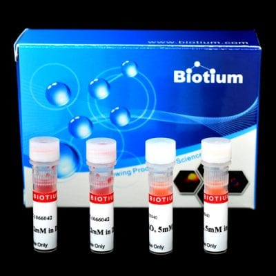 Viability/Cytotoxicity Assay Kit for Bacteria Live & Dead Cells