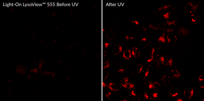 Light-on LysoView™ 555