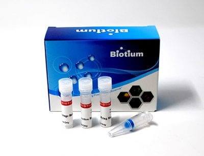 WarmStart™ Enzyme Modification Kit