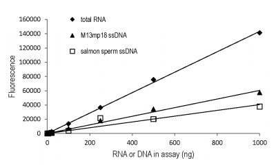 AccuBlue® Broad Range RNA Quantitation Kit