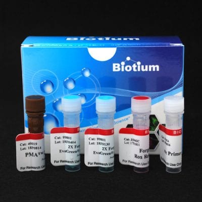 PMA Real-Time PCR Bacterial Viability Kit – Mycobacterium tuberculosis (groEL2)