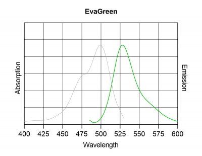 EvaGreen® Dye, 20X in Water