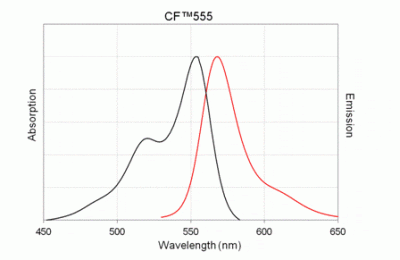 CF®555-ddCTP