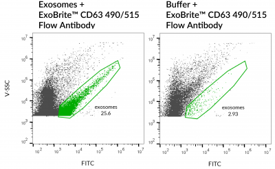 ExoBrite™ CD63 Flow Antibody