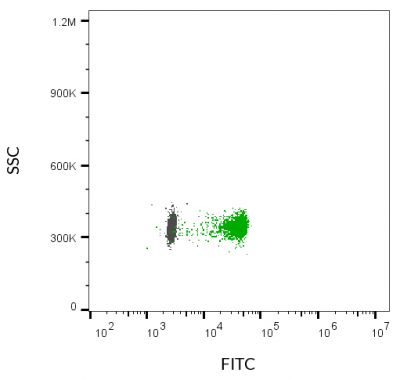 ExoBrite™ CD63 Flow Antibody