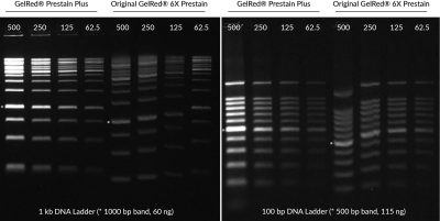 GelRed® Prestain Plus 6X DNA Loading Dye