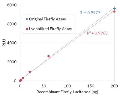 Firefly Luciferase Assay Kit (Lyophilized)