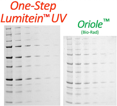 One-Step Lumitein™ UV Protein Gel Stain