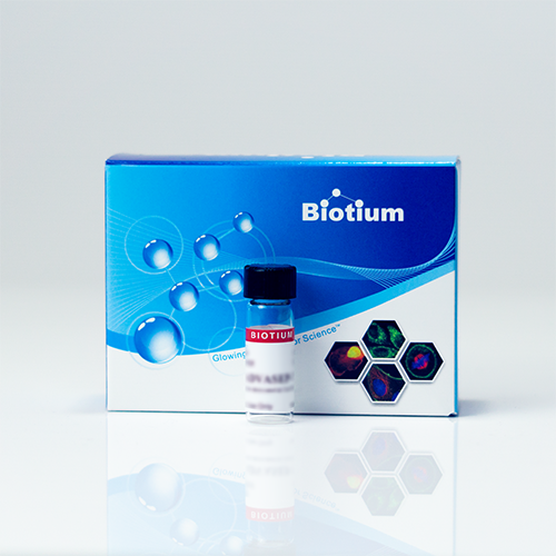 Biotin Ethylenediamine, Hydrobromide (Neurobiotin™)
