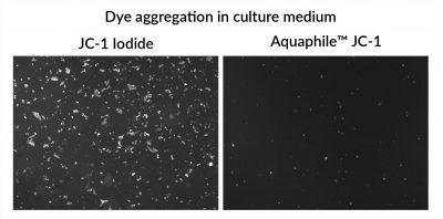 Aquaphile™ JC-1